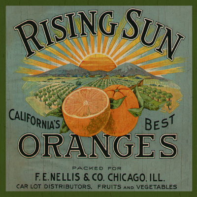 orange-plaque